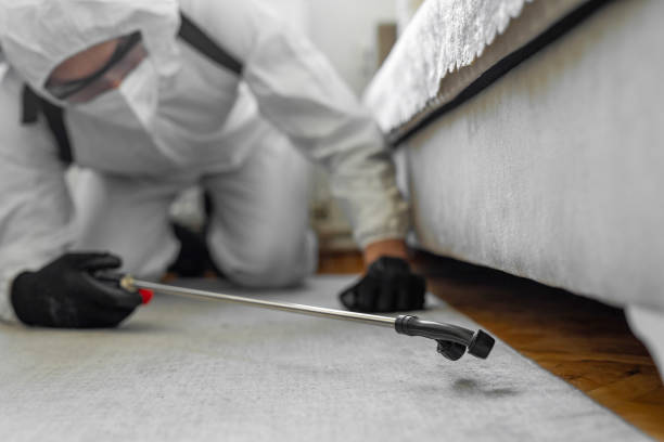 Professional Ant Control technician working in Johnson County County, MO